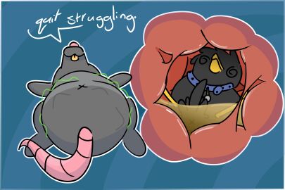 ambiguous_gender anus avian beak bird bloated blue_collar buckteeth collar digestion feathers feet feral fur grey_body grey_feathers grey_fur hi_res internal jtay mammal murid murine oral_vore organs permanent pink_tail rat rodent simple_background simple_coloring simple_colors stomach tail tail_feathers teeth toony vore x_anus yellow_beak yellow_feet yellow_tooth