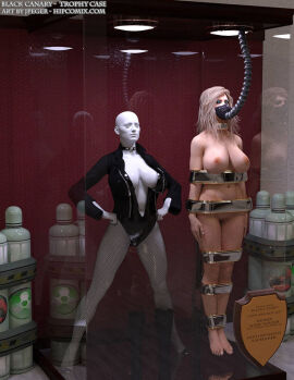 3d black_canary blonde_hair bound bound_arms bound_legs completely_nude dc dc_comics dinah_lance female green_arrow_(series) mannequin nude nude_female thejpeger