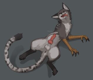 animal_genitalia animal_penis anus ass balls bodily_fluids canid canine canine_genitalia canine_penis claws colored digital_drawing_(artwork) digital_media_(artwork) drooling eeeevio erection feet feral fur genital_fluids genitals happy hi_res hybrid knot lying male mammal on_back open_mouth pawpads paws penile penis precum saliva scuted_arms scutes shaded sheath simple_background smile solo tail teeth toes tongue tongue_out