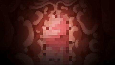 animated censored female futa_on_female futanari genital_growth gif inside_view intersex oujo_&_onna_kishi_w_dogehin_roshutsu_~chijoku_no_misemono_dorei~ ova penis penis_growth penis_in_pussy pussy throbbing_penis womb x-ray