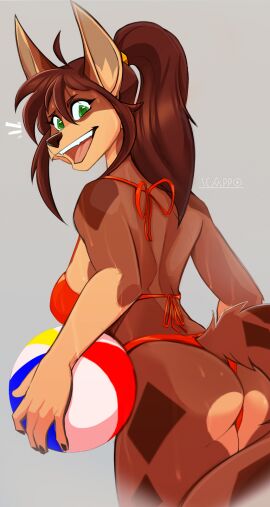 2025 anthro ass bikini bikini_bottom bikini_top breasts brown_body brown_fur brown_hair brown_tail canid canine canis clothed clothed_anthro clothed_female clothing countershade_torso countershading digital_media_(artwork) female fur furry green_eyes hair hi_res jackal looking_at_viewer mammal open_mouth ponytail scappo simple_background solo swimwear tail teeth tongue tsenaya two-piece_swimsuit