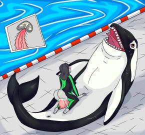 animal_genitalia animal_penis anonymous_character bodily_fluids cajuzinho02 cetacean cetacean_genitalia cetacean_penis cum cum_in_pussy cum_inside dolphin duo extreme_penetration faceless_character faceless_female female female_on_feral feral feral_penetrating feral_penetrating_female feral_penetrating_human genital_fluids genitals hi_res human human_on_feral human_penetrated inflation interspecies male male/female mammal marine oceanic_dolphin orca penetration penis pool pussy sex size_difference tapering_penis toothed_whale water whale x-ray x-ray_view zoophilia