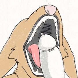 1:1 animated anthro aricks137 bodily_fluids canid canine cum cum_in_mouth cum_inside duo erection fox gay genital_fluids genitals hi_res humanoid_genitalia humanoid_penis kurama licking long_ears male male/male mammal naruto open_mouth oral penile penis penis_lick pink_nose sex short_playtime tongue tongue_out