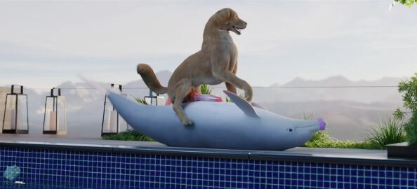 3d_(artwork) 3d_animation anal animated bird_dog bondage bound bound_rostrum canid canine canis cetacean cowgirl_position digital_media_(artwork) dolphin domestic_dog duo feral feral_on_feral from_front_position genitals golden_retriever hunting_dog light_bondage loop male male/male mammal marine on_bottom on_top penis pool realistic_feral retriever sex short_playtime sound tagme toothed_whale trioami260 video