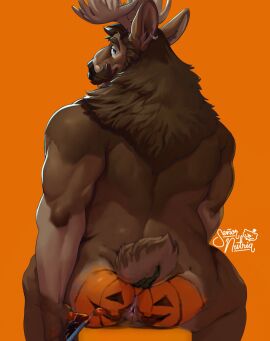 2024 anthro anus ass back_muscles backsack balls ballsack bodypaint brush deer food fruit genitals halloween hi_res holidays jack-o'-lantern kodiak_(kodiakcaribou) light lighting looking_at_viewer looking_back looking_back_at_viewer male mammal muscles muscular muscular_male new_world_deer nude nude_male orange_background paintbrush painted_butt painted_tail painting plant pumpkin pumpkin_butt rear_view reindeer ruff senor_nutria simple_background sitting solo wariza