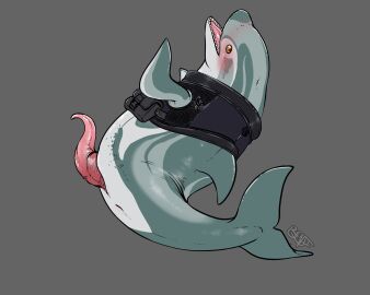animal_genitalia animal_penis anus benji_(artist) blowhole blush cetacean cetacean_genitalia cetacean_penis clothed clothed_feral clothing dolphin feral genital_slit genitals grey_background hi_res male mammal marine open_mouth orange_eyes penis pink_anus simple_background solo tapering_penis tentacle_penis toothed_whale topwear vest