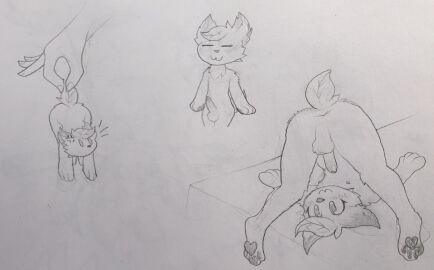 absurd_res anthro anus depressbian_(artist) held_up hi_res male mynty_(mynty_paws) presenting shy solo upside-down