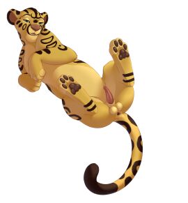 2025 alpha_channel animal_genitalia animal_penis anus artist_name balls cheetah colored digital_media_(artwork) erection felid feline feline_genitalia feline_penis feral fur genitals hi_res kano_(mwendo) king_cheetah looking_at_viewer lying male mammal markings on_back open_mouth pawpads penis portrait roughlady shaded signature smile solo spots spotted_body spotted_fur tail tail_anus text