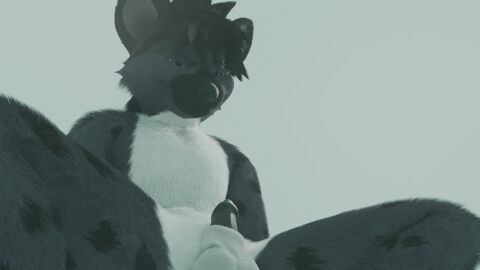 3d anthro aroused belly digital_media_(artwork) erection fox_the_hyena fur furry grey_body grey_fur hi_res looking_at_viewer male solo white_belly