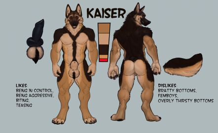 4_toes 5_fingers abs animal_genitalia animal_penis anthro ass backsack balls balls_tuft ballsack black_nose black_pawpads black_penis body_hair broad_shoulders brown_body brown_fur canid canine canine_genitalia canine_penis canis character_name cheek_tuft claws close-up color_swatch crotch_tuft digitigrade dipstick_toes domestic_dog english_text erection facial_tuft feet finger_claws fingers fluffy fluffy_tail front_view fur genital_close-up genitals german_shepherd grey_background happy_trail herding_dog hi_res information kaiser_(draftstallion2005) knot looking_at_viewer looking_back male mammal mane model_sheet multicolored_body multicolored_fur multiple_angles muscular muscular_anthro muscular_male neck_tuft nipples nude open_mouth pastoral_dog pawpads paws pecs penis rear_view red_eyes sheath simple_background smile solo standing sunitai tail teeth text toe_claws toes tongue toothy_grin tuft two-tone_body two-tone_fur