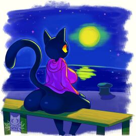69blackcat69 anthro barely_visible_genitalia barely_visible_pussy bench big_tail bottomless clothed clothing domestic_cat felid feline felis female full_moon genitals hi_res hoodie looking_at_moon mammal moon night olive_(69blackcat69) on_bench purple_clothing purple_hoodie purple_topwear pussy seaside sitting sitting_on_bench sky solo star starry_sky tail topwear