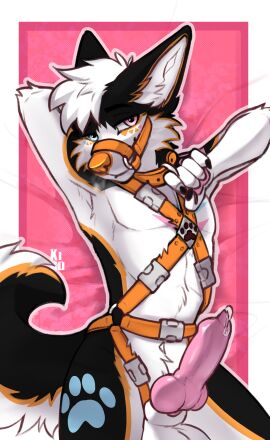 2025 5_fingers absurd_res animal_genitalia animal_penis anthro arm_tuft balls balls_tuft bed bed_sheet bedding bedroom_eyes belly blue_eyes bodily_fluids bondage bottomless bottomless_male bound breath canid canine canine_genitalia canine_penis canis cheek_markings cheek_tuft chest_markings chest_tuft claws clothed clothing collar colored_nails curled_tail dark_body dark_fur digital_media_(artwork) domestic_dog ear_tuft elbow_tuft erection exposed_belly facial_markings facial_tuft fenneckiro finger_claws fingers fluffy fluffy_(fluffybarks) fluffy_hair fluffy_tail flustered flustered_male fur fur_markings fur_tuft furniture genital_fluids genitals grey_body grey_fur hair harness harness_grab harness_only harness_ring head_markings heterochromia hi_res husky inner_ear_fluff inside knot leaking_precum looking_at_viewer lying lying_on_bed male male_anthro male_only mammal markings mostly_nude mouth_closed multicolored_body multicolored_fur muzzle_(object) muzzled nails narrowed_eyes nordic_sled_dog nude nude_anthro nude_male on_back on_bed orange_body orange_clothing orange_collar orange_fur orange_harness orange_nose panting pawpads paws penis penis_tip penis_towards_viewer pink_eyes pink_pawpads precum precum_on_penis presenting presenting_penis seductive sheath simple_background smile smiling_at_viewer smirk smirking_at_viewer smug smug_face solo solo_focus spitz straps tail teasing teasing_viewer teeth teeth_showing tuft tugging_collar white_body white_fur white_hair