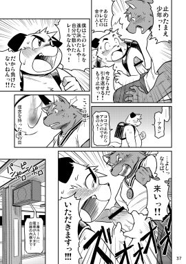 Image: 38495