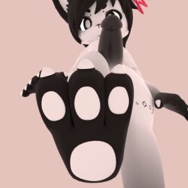 3d animated anthro balls feet foot_fetish foot_focus fur genitals kris-kawaii lagomorph leporid looking_at_viewer looking_down looking_down_at_viewer male mammal multicolored_body multicolored_fur pawpads paws penis rabbit solo x_(kris-kawaii)