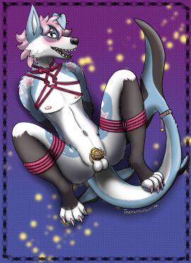 absurd_res anthro balls bondage bound chastity_cage chastity_device collar femboy genitals girly hi_res hybrid lying male male_only on_back restraints rope rope_bondage rope_harness shark_tail solo submissive tail teeth thehatredburrito