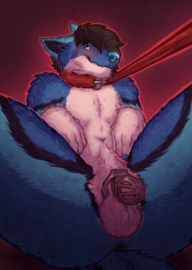 5_fingers animal_genitalia anthro anus balls black_hair blue_body blue_claws blue_fur blush canid canine canis chastity_cage chastity_device claws collar digital_media_(artwork) fingers fur genitals hair hi_res leash male mammal sheath shy_smile simple_background slim smile solo spread_legs spreading tailtufts wapi whiskers white_body white_fur wolf yellow_eyes