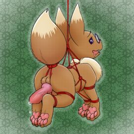abstract_background animal_genitalia animal_penis balls bondage bookabashka bound canine_genitalia canine_penis eevee eyewear feral generation_1_pokemon genitals glasses hi_res knot male nintendo penis penis_backwards pokemon pokemon_(species) red_rope restraints rope rope_bondage rope_harness solo suspension
