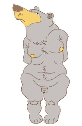 anthro anthro_only arm_tuft bear belly_tuft black_bear breasts chest_tuft exposed_breasts fur futanari genitals grey_body grey_fur hands_behind_back hi_res inner_ear_fluff intersex looking_up mammal niedopalek nipples paws penis shoulder_tuft slightly_chubby small_penis snout solo tuft ursine whisker_spots yellow_nipples