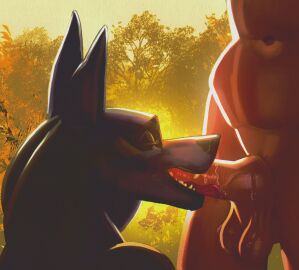 absurd_res anthro balls big_penis bodily_fluids closed_eyes dripping dripping_penis duo fellatio female gay generation_4_pokemon genitals hi_res human humanoid jakiebean licking lucario male male/male mammal nintendo oral oral_penetration outside penetration penile penis penis_lick pokemon pokemon_(species) pussy saggy_balls saliva saliva_drip saliva_on_penis sex tongue vaginal_penetration vein veiny_penis