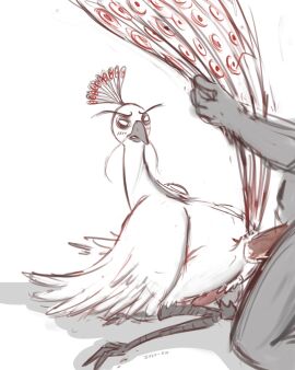 1femboy 2boys 2d anatomically_correct bird cum cum_inside cute_face dark-skinned_male dark_skin dominant_male dreamworks femboy feral_penetrated furry gay gay_anal gay_sex human human_is_better human_male human_on_anthro kung_fu_panda kung_fu_panda_2 lord_shen male male/male male_on_anthro male_penetrating_male multiple_boys multiple_males paramount_pictures penis small_penis zoophilia