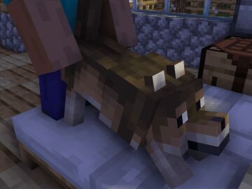 3d 3d_(artwork) 3d_animation 4:3 animated bed brown_body brown_fur canid canine digital_media_(artwork) duo female feral feral_penetrated fur furniture head_out_of_frame human human_on_feral human_penetrating human_penetrating_feral interspecies male male/female mammal microsoft minecraft mojang penetration sex sharktail26 short_playtime steve_(minecraft) tailwag wolf wolf_(minecraft) woods_wolf_(minecraft) xbox_game_studios zoophilia