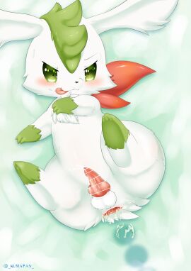 anal anal_beads anal_juice balls blush censored cub feral flat_chest furry gaping_anus hi_res kumapan legs looking_at_viewer male male_cub male_only on_bed penis pokemon pokemon_(species) pokémon_(species) precum saliva shaymin shaymin_sky_forme smile spread_legs sweat tagme tongue tongue_out