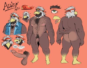 accipitrid accipitriform anthro arm_hair armpit_hair ass audrey_(elfein) avian bald_eagle balls bandana biker bird body_hair brown_body brown_feathers bubble_ass bubble_butt chest_hair clothing eagle elfein erection eyewear feathers feet genital_piercing genitals glasses green_eyes hairy hairy_balls humanoid_feet humanoid_genitalia humanoid_penis jacket kerchief male musclegut muscular navel penis penis_piercing piercing plantigrade pubes red_bandanna red_kerchief sea_eagle solo tail tongue tongue_piercing topwear white_body white_feathers