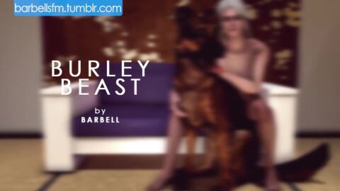 animated canine ciri human tagme the_witcher video