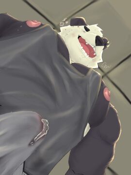 1boy anthro bara bear boxers_(clothing) breasts clothing cute_expression ear_piercing ear_ring feral genitals giant_panda hi_res male male_only male_with_breasts mammal mar_cat muscular muscular_male nipples pecs penis piercing ring_piercing shirt solo solo_focus t-shirt topwear underwear yaoi