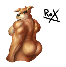 1boy anthro anthro_only ass back back_muscles bandicoot bara beard big_ass big_butt big_muscles crash_(series) crunch_bandicoot facial_hair huge_ass male male_only marsupial muscles muscular muscular_anthro muscular_back muscular_chest muscular_male orange_fur roxds93 self_upload simple_background smile smiling solo white_background yaoi