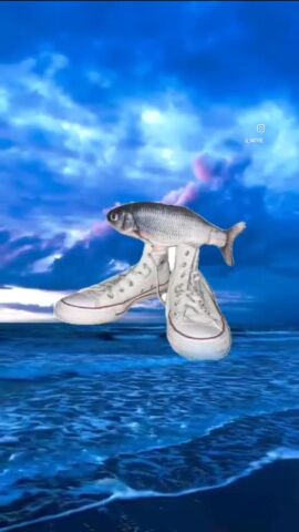drip fish male nigga tagme video