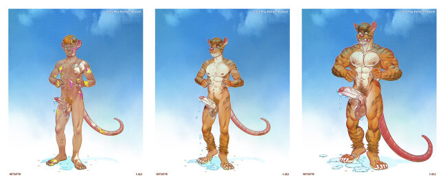 5_fingers angry anthro balls big_balls big_penis bodily_fluids bottomwear chest_fur claws clothing digital_media_(artwork) dripping feet fingers fur genital_fluids genitals ginger growth hair happy hi_res hotsatyr humanoid humanoid_hands leaking_precum looking_at_viewer male male/male mammal murid murine muscle_growth muscles muscular muscular_male nipples nude orange_hair pants penis precum precum_drip precum_on_ground precum_on_own_penis precum_on_penis pubes rat rat_tail red_hair rodent saggy_balls scarf shapeshift shaved_balls simple_background smile solo tail teeth transformation vein veiny_penis