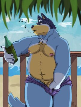2024 alcohol anthro areola australian_cattle_dog bandit_heeler beach belly belly_overhang beverage bluey_(series) bottle bottomwear bottomwear_down bulge canid canine canis cattledog claws clothed clothing cloud container day domestic_dog eyebrows fence fur genitals herding_dog hi_res holding_beverage holding_bottle holding_container holding_object leaf male mammal matthew-fox moobs musical_note musical_symbol navel nipples outside overweight overweight_anthro overweight_male pastoral_dog penis penis_base pubes sand solo standing swimwear swimwear_down symbol thick_thighs topless topless_anthro topless_male tuft water whistling