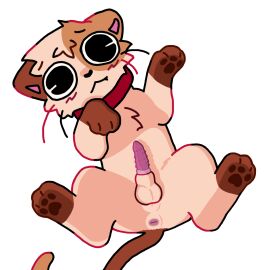 animal_genitalia animal_penis balls blush cat collar domestic_cat felid feline feline_genitalia feral fur genitals liamfrustrado looking_at_viewer lying male mammal pawpads penile penile_spines penis simple_background solo tail whiskers youtuber