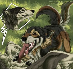 ambiguous_gender animal_genitalia animal_penis black_body black_fur black_nose black_pawpads bodily_fluids brown_body brown_eyes brown_fur canid canine canine_genitalia canine_penis canis claws close-up closed_eyes cum cum_in_mouth cum_inside cum_on_penis cum_on_tongue cumshot cutaway drooling duo ears_back ejaculation erection fangs fellatio feral feral_on_feral fluffy fluffy_tail fur genital_fluids genitals grass grey_body grey_fur hi_res inner_ear_fluff knot licking looking_pleasured lying male male/ambiguous mammal msdeadsoul open_mouth oral orgasm outside pawpads paws penile penis penis_lick pivoted_ears plant quadruped raised_tail saliva sex smile tail tail_motion tailwag teeth tongue tongue_out tuft white_body white_fur wolf