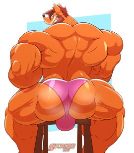 1boy 2024 adult aged_up anthro ass back_view bandicoot bara beard big_ass bulge bulge_from_behind chair crash_(series) crash_bandicoot furry furry_only gay male male_only marsupial muscular okrizo831 pink_underwear simple_background solo underwear video_games yaoi
