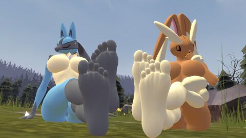 3d baek-myo feet feet_fetish female lopunny lucario nintendo pokemon pokemon_(species) pokémon_(species)