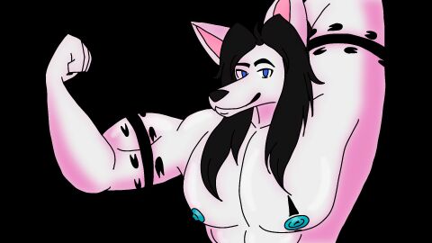 16:9 animated anthro anthro_only canid canine canis domestic_dog hausu_mukade hi_res husky male male/male male_only mammal nordic_sled_dog pecs short_playtime solo spitz unknown_artist widescreen