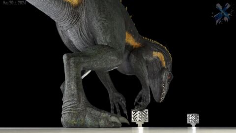 16:9 3d_(artwork) 3d_animation ambiguous_gender animated blender_(artwork) blender_cycles claws digital_media_(artwork) dinosaur dromaeosaurid feet feral foot_fetish foot_focus hi_res huge_filesize indoraptor jurassic_park jurassic_world legnax long_playtime loop lying male_(lore) no_sound on_side paw_day paws prehistoric_species reptile scales scalie sickle_claw solo standing tagme theropod toe_claws toes universal_studios video widescreen