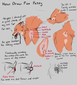 abstract_background absurd_res anatomically_accurate anus canid canine english_text female feral folvondusque fox genitals hi_res internal knotting male mammal model_sheet penis pussy red_fox solo_feral text true_fox