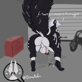 absurd_res anthro anus balls bent_over big_tail black_body black_fur bodily_fluids canid canine chrome_(chromethefox) chromethefox countershading cutaway duo expression_cutaway fennec_fox foreskin fox fur genitals hi_res humanoid_genitalia key looking_away male mammal mephitid motorcycle offscreen_character penis pink_anus pink_nose skunk solo_focus sweat sweatdrop tail true_fox uncircumcised vehicle white_body white_fur