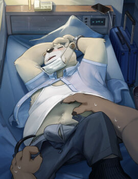 2025 anthro bear bed belly bodily_fluids bottomwear bulge clothing duo face_mask fur furniture genital_fluids genitals hi_res humanoid_hands kemono lying male mammal navel numaro pants penis polar_bear precum shirt slightly_chubby solo_focus topwear underwear ursine white_body white_fur