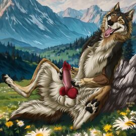 4_toes animal_genitalia animal_penis balls big_penis black_body black_fur black_nose black_pawpads brown_body brown_fur canid canine canine_genitalia canine_penis canis cheek_tuft claws day detailed_background digitigrade erection facial_tuft fangs feet feral flower fluffy forest fur genitals grass hi_res inner_ear_fluff knot looking_pleasured male mammal masturbation mountain msdeadsoul multicolored_body multicolored_fur nature open_mouth outside pawpads paws penile penile_masturbation penis plant quadruped red_penis rock sitting sky smile solo spread_legs spreading tail tan_body tan_fur teeth toe_claws toes tongue tongue_out tree tuft white_body white_fur wolf yellow_eyes