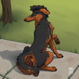 anatomically_correct anatomically_correct_genitalia anatomically_correct_pussy animal_genitalia animal_pussy anus black_body black_fur black_hair borzoi brown_body brown_fur canid canine canine_genitalia canine_pussy canis domestic_dog ear_piercing female feral fur genitals grass green_eyes hair hakudoge hi_res hunting_dog looking_at_viewer looking_back looking_back_at_viewer mammal outside piercing plant pussy rear_view sidewalk sighthound sitting smile solo tree