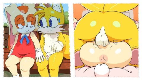 16:9 1boy 1girls animated anthro anthro_penetrated anus ass balls balls_deep bench blush bodily_fluids canid canine casual_nudity clothed clothed/nude clothing cream_the_rabbit cub digital_media_(artwork) duo erection female female_penetrated flaccid foreskin fox from_front_position fur genital_fluids genitals glistening glistening_butt hair handwear hi_res kranson lagomorph leporid looking_pleasured male male/female male_penetrating male_penetrating_female mammal mating_press no_sound nude penetration penile penile_penetration penis penis_in_vagina rabbit sega sex short_playtime simple_background smile sonic_(series) sonic_the_hedgehog_(series) tagme tail tails teeth vaginal_fluids vaginal_penetration video widescreen young young_anthro young_female young_male young_on_young young_penetrated