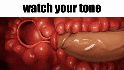 3d animated berz1337 caption cervix_kiss cock ifunny_caption inside_view large_penis loop male meme meme_caption penis roblox womb x-ray