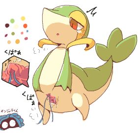 Image: 591119