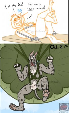 animal_genitalia anthro anus balls blush bodily_fluids breasts canid canine canis casual_nudity chipmunk domestic_dog drooling female genitals great_dane ground_squirrel harness hi_res low-angle_view male mammal mastiff micro molosser mouse_trap nipples nude panicking parachute parachuting paws penis pussy rodent saliva sciurid sheath solo speech_bubble squirrel trap_(contrivance) trapped worm's-eye_view yamatopawa