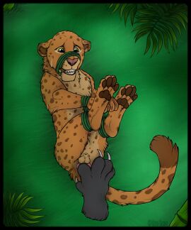 anal anal_fingering animal_genitalia anus balls bit_gag bodily_fluids bondage bound claws cub disembodied_hand duo felid feral fingering fingers fully_sheathed fur gag gagged genitals hi_res hirofence leopard male male_cub male_only male_penetrated mammal markings meowz nude pantherine pawpads penetration plant restraints seliron_(character) sheath small_balls solo_focus spots spotted_body tears teeth tied_up toe_claws young