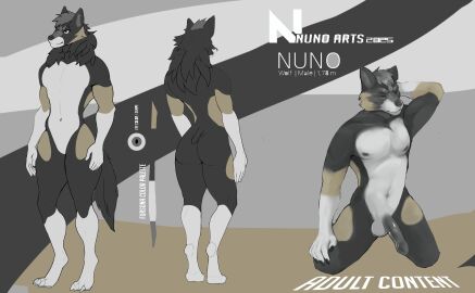 absurd_res anthro athletic black_nose canid canine canis dark_body dark_fur digital_media_(artwork) erection explicit foreskin fur genitals hi_res kneeling male mammal model_sheet multiple_angles muscular nude nuno nuno_arts_2025 nuno_timberwolf nuno_timberwolf_(nuno_is) penis solo tan_body tan_fur white_body white_fur wolf